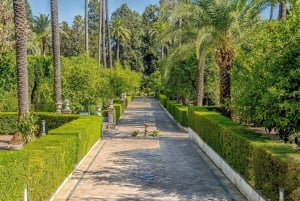 From Costa del Sol: Seville Day Trip