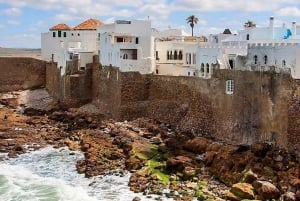 Fra Malaga eller Tarifa: Privat dagstur til Tanger