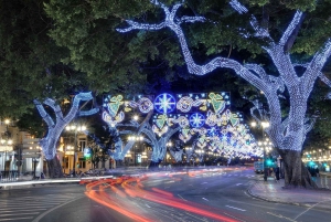 From Gibraltar & Costa del Sol: Malaga Christmas Lights Tour