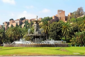Fra Granada: Malaga privat tur med inngangsbillett til Alcazaba