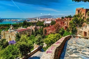 Von Granada aus: Malaga Private Tour mit Alcazaba Eintrittskarte