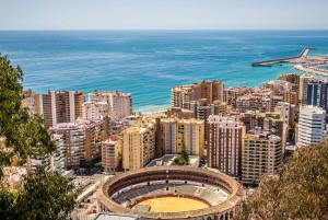 From Granada: Malaga Private Tour with Alcazaba Entry Ticket