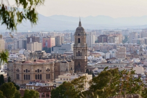 From Granada: Malaga Private Tour with Alcazaba Entry Ticket