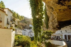 Vanuit Granada: Ronda & Setenil hoogtepunten