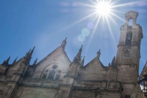 Van Granada: Torcal & Antequera Dolmens Archeologische Tour