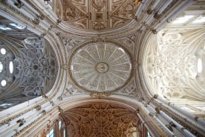Från Costa del Sol: En dag i Córdoba + Mezquita