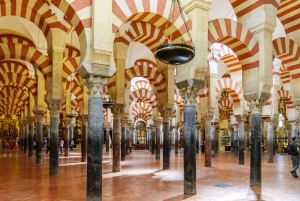 Fra Costa del Sol: En dag i Córdoba + Mezquita