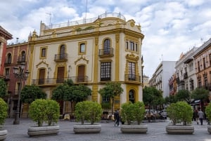 From Costa del Sol: Guided Day Trip to Seville Free Time -3h