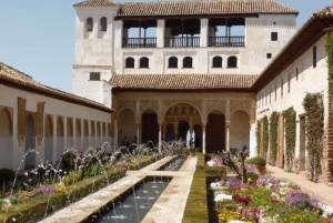 From Málaga: Alhambra and Albaicin Private Full-Day Tour