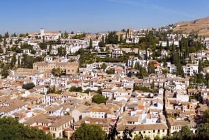 From Málaga: Alhambra and Albaicin Private Full-Day Tour