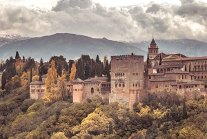 Desde Málaga: Alhambra y Capilla Real con tickets de entrada