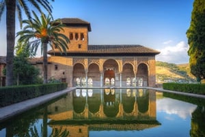 Desde Málaga: Alhambra y Capilla Real con tickets de entrada