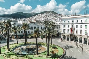 Från Malaga och Costa del Sol: Dagstur till Tetouan, Marocko