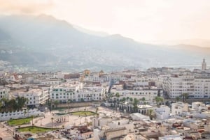 Från Malaga och Costa del Sol: Dagstur till Tetouan, Marocko
