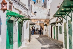 From Malaga and Costa del Sol: Day Trip to Tetouan, Morocco