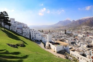 From Malaga and Costa del Sol: Day Trip to Tetouan, Morocco
