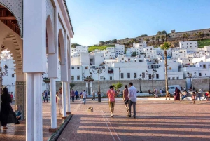 From Malaga and Costa del Sol: Day Trip to Tetouan, Morocco