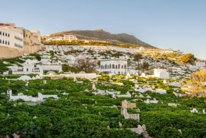 From Malaga and Costa del Sol: Day Trip to Tetouan, Morocco