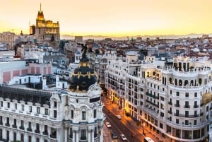 Van Malaga en Costa del Sol: Excursie naar Madrid