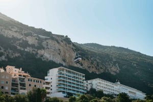 Från Málaga och Costa del Sol: Utflykt till Gibraltar