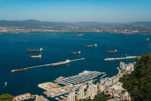 Vanuit Malaga en Costa del Sol: tour naar Gibraltar