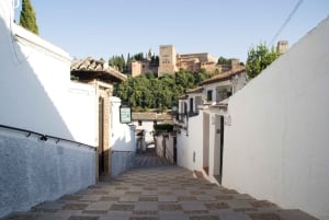 From Malaga and Costa Del Sol: Granada Day Trip