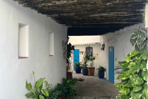 From Málaga: Andalusia 12-day 1000 KM Road Trip