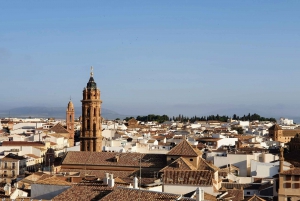 From Málaga: Antequera and Dolmens Tour with Free Time