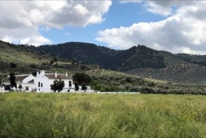 Desde Málaga: Patrimonio de Antequera y Tierra de Almazara