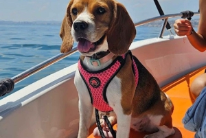 From Málaga: Boat Rental with No License Required