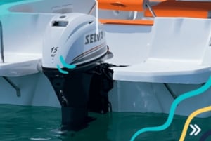 From Málaga: Boat Rental with No License Required