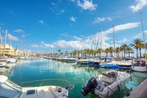 From Málaga: Boat Rental with No License Required