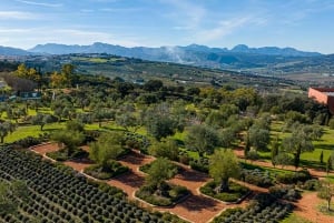 Fra Malaga: Busstur til Ronda + LA Almazara EcoExperience Oljeturisme