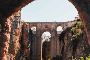 From Malaga: Bus Tour to Ronda + LA Almazara EcoExperience Oleoturismo