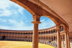 From Malaga: Bus Tour to Ronda + LA Almazara EcoExperience Oleoturismo