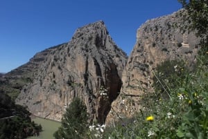 From Malaga: Caminito del Rey all included