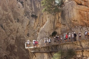From Málaga: Caminito del Rey Full-Day Tour