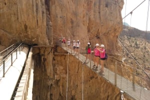 From Málaga: Caminito del Rey Full-Day Tour