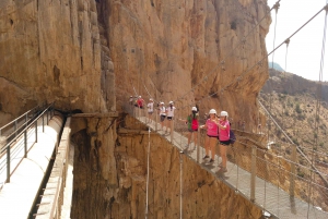From Málaga: Caminito del Rey Full-Day Tour