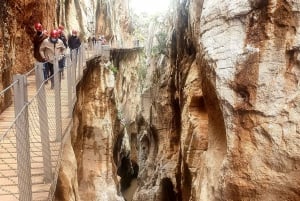 From Málaga: Caminito del Rey Guided Tour with Bus