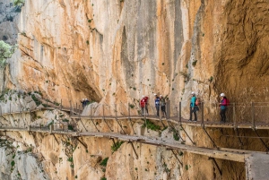 Depuis Malaga : visite guidée du Caminito del Rey avec billets