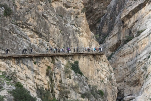 Depuis Malaga : visite guidée du Caminito del Rey avec billets