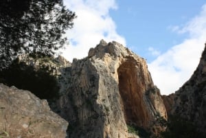 Depuis Malaga : visite guidée du Caminito del Rey avec billets