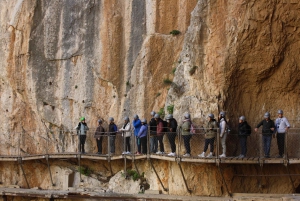 Depuis Malaga : visite guidée du Caminito del Rey avec billets
