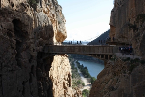 Depuis Malaga : visite guidée du Caminito del Rey avec billets