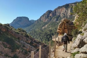 De Málaga: Passeio em grupo pequeno pelo Caminito del Rey com piquenique