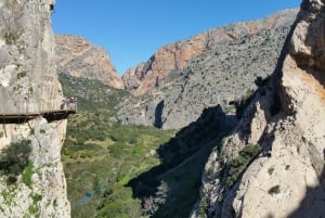 From Málaga: Caminito del Rey Small-Group Tour with Picnic