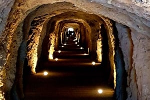 Caminito del Rey desde Málaga+Guía Oficial+Bebida+Sorteo