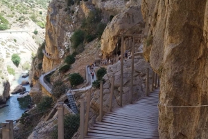 Caminito del Rey desde Málaga+Guía Oficial+Bebida+Sorteo