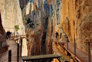 Caminito del Rey desde Málaga+Guía Oficial+Bebida+Sorteo